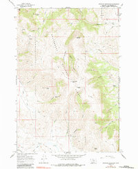 Download a high-resolution, GPS-compatible USGS topo map for Graphite Mountain, MT (1984 edition)