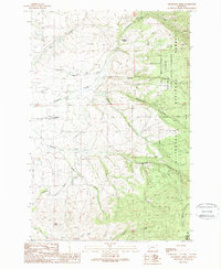 Download a high-resolution, GPS-compatible USGS topo map for Grayhorse Creek, MT (1989 edition)