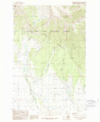 Download a high-resolution, GPS-compatible USGS topo map for Green Ashley Gulch, MT (1988 edition)