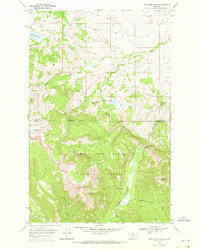 Download a high-resolution, GPS-compatible USGS topo map for Half Dome Crag, MT (1971 edition)
