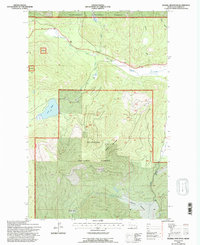 Download a high-resolution, GPS-compatible USGS topo map for Haskill Mountain, MT (1996 edition)