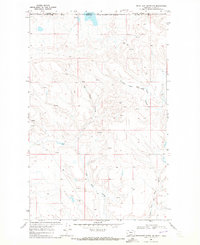 Download a high-resolution, GPS-compatible USGS topo map for Headlight Butte NW, MT (1972 edition)