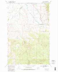 Download a high-resolution, GPS-compatible USGS topo map for Helmville, MT (1980 edition)