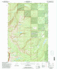 Download a high-resolution, GPS-compatible USGS topo map for Hemlock Lake, MT (1996 edition)