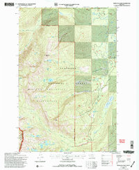preview thumbnail of historical topo map of Missoula County, MT in 1994