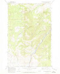 preview thumbnail of historical topo map of Granite County, MT in 1971
