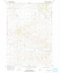 preview thumbnail of historical topo map of Beaverhead County, MT in 1968
