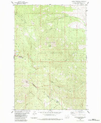 Download a high-resolution, GPS-compatible USGS topo map for Hewolf Mountain, MT (1984 edition)