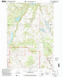 Download a high-resolution, GPS-compatible USGS topo map for Hidden Lake Bench, MT (2002 edition)