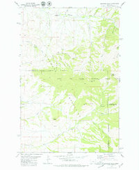 Download a high-resolution, GPS-compatible USGS topo map for Highwood Baldy, MT (1979 edition)