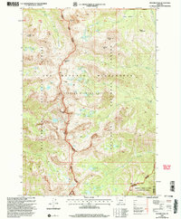 Download a high-resolution, GPS-compatible USGS topo map for Hilgard%20Peak, MT (2005 edition)
