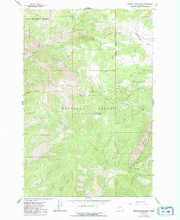 Download a high-resolution, GPS-compatible USGS topo map for Hogback Mountain, MT (1992 edition)