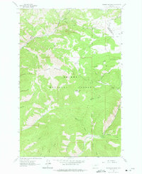 Download a high-resolution, GPS-compatible USGS topo map for Hogback Mountain, MT (1975 edition)