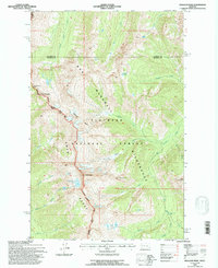 Download a high-resolution, GPS-compatible USGS topo map for Holland Peak, MT (1996 edition)