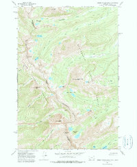 Download a high-resolution, GPS-compatible USGS topo map for Homer Youngs Peak, MT (1979 edition)