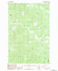 Download a high-resolution, GPS-compatible USGS topo map for Horsehead Peak, MT (1984 edition)
