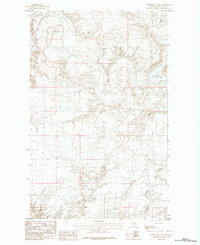 Download a high-resolution, GPS-compatible USGS topo map for Horseshoe Lake, MT (1984 edition)