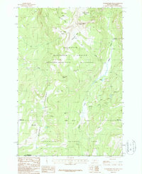 Download a high-resolution, GPS-compatible USGS topo map for Hummingbird Peak, MT (1987 edition)