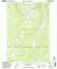 Download a high-resolution, GPS-compatible USGS topo map for Hummingbird Peak, MT (2005 edition)