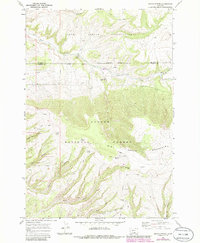 Download a high-resolution, GPS-compatible USGS topo map for Indian%20Spring, MT (1986 edition)