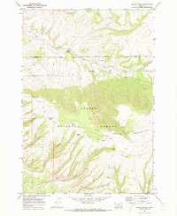 Download a high-resolution, GPS-compatible USGS topo map for Indian Spring, MT (1973 edition)
