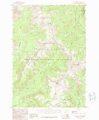 Download a high-resolution, GPS-compatible USGS topo map for Iron Mountain, MT (1987 edition)