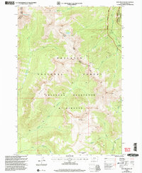 Download a high-resolution, GPS-compatible USGS topo map for Iron Mountain, MT (2005 edition)