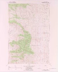 preview thumbnail of historical topo map of Lake County, MT in 1989