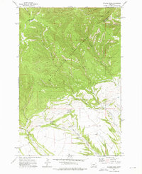 Download a high-resolution, GPS-compatible USGS topo map for Jellison Place, MT (1976 edition)