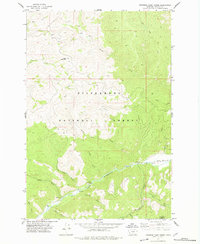 Download a high-resolution, GPS-compatible USGS topo map for Jennings Camp Creek, MT (1978 edition)