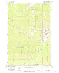 preview thumbnail of historical topo map of Granite County, MT in 1977