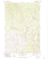 Download a high-resolution, GPS-compatible USGS topo map for Kent Peak, MT (1977 edition)
