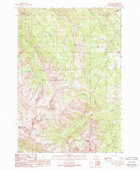 Download a high-resolution, GPS-compatible USGS topo map for Koch Peak, MT (1989 edition)