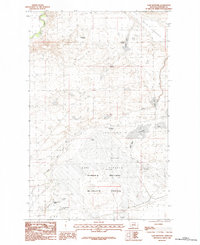 Download a high-resolution, GPS-compatible USGS topo map for Lake Bowdoin, MT (1984 edition)