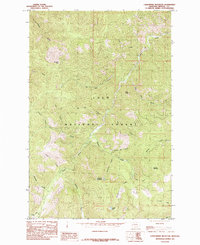 Download a high-resolution, GPS-compatible USGS topo map for Landowner Mountain, MT (1985 edition)