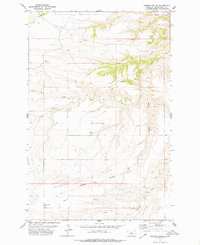 Download a high-resolution, GPS-compatible USGS topo map for Leiberg Coulee, MT (1979 edition)