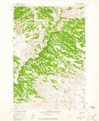 Download a high-resolution, GPS-compatible USGS topo map for Lemon Ranch, MT (1962 edition)