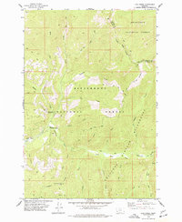 Download a high-resolution, GPS-compatible USGS topo map for Lick Creek, MT (1977 edition)