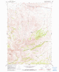 Download a high-resolution, GPS-compatible USGS topo map for Lima Peaks, MT (1991 edition)