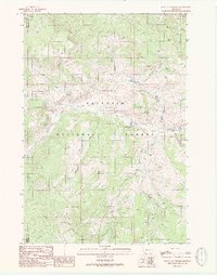 Download a high-resolution, GPS-compatible USGS topo map for Lincoln Mountain, MT (1989 edition)