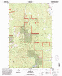 Download a high-resolution, GPS-compatible USGS topo map for Lion Mountain, MT (1996 edition)
