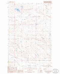 Download a high-resolution, GPS-compatible USGS topo map for Little Bear Lake, MT (1986 edition)