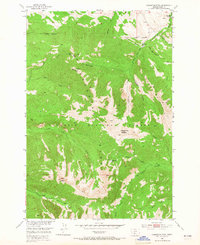 Download a high-resolution, GPS-compatible USGS topo map for Livingston Peak, MT (1965 edition)