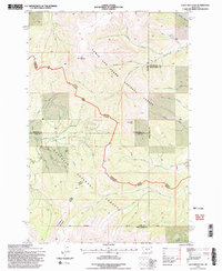 Download a high-resolution, GPS-compatible USGS topo map for Loco Mountain, MT (1997 edition)