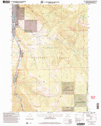 Download a high-resolution, GPS-compatible USGS topo map for Lone Indian Peak, MT (2005 edition)