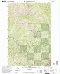 Download a high-resolution, GPS-compatible USGS topo map for Lupine Creek, MT (2003 edition)