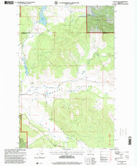 Download a high-resolution, GPS-compatible USGS topo map for Lynch Lake, MT (2000 edition)