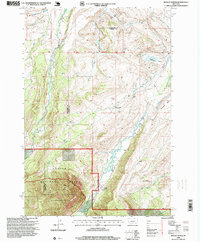 Download a high-resolution, GPS-compatible USGS topo map for Mackay Ranch, MT (1999 edition)