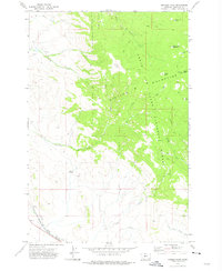 Download a high-resolution, GPS-compatible USGS topo map for Manger Park, MT (1975 edition)