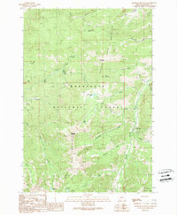 Download a high-resolution, GPS-compatible USGS topo map for Manhead Mountain, MT (1989 edition)